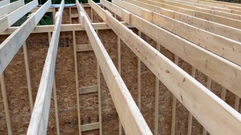 Installing Collar Ties On The Shed