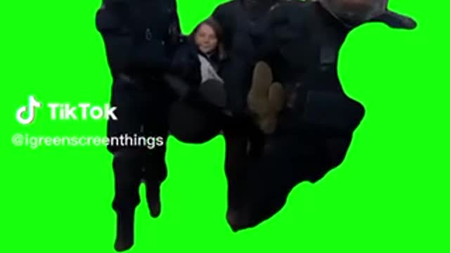 Did Greta get arrested or was it faked?