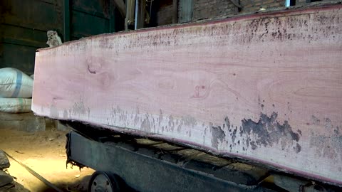 Close Up Process Of Sawmill Mahogany Wood