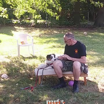 Ruff Cut PodCast Leash Handling part 5 cut 6