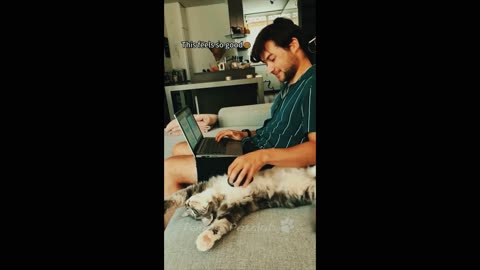 Funniest cat ever 😹