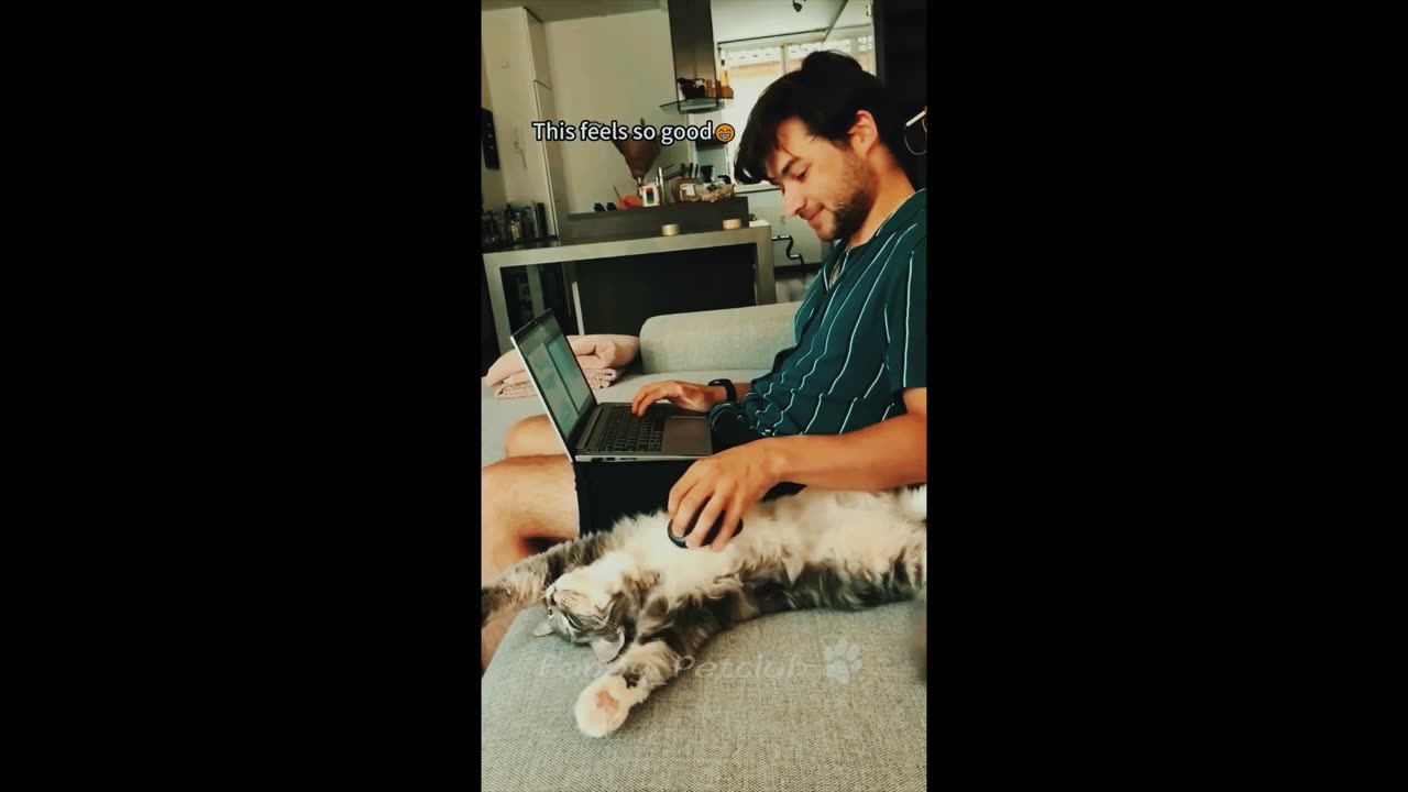 Funniest cat ever 😹