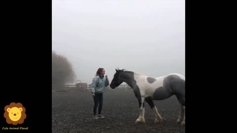 Funny and Cute Horse Videos Compilation cute moment of the horses- Cutest Horse #5-22