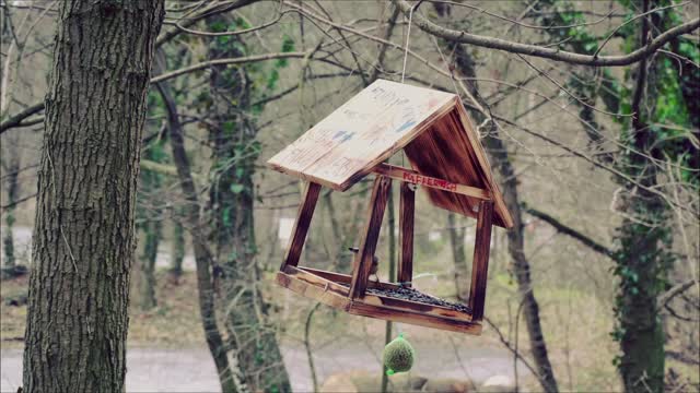 Brhlík v búdke (nutpecker)