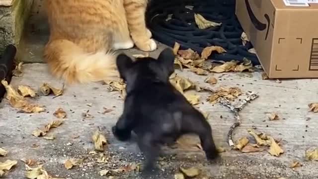 He protecc.He attacc. But most of all he keeps his Christmas deliveries intacc!