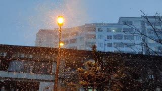 Snow fall