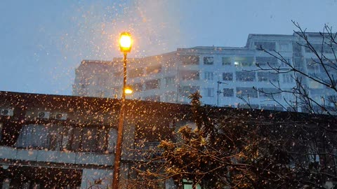 Snow fall