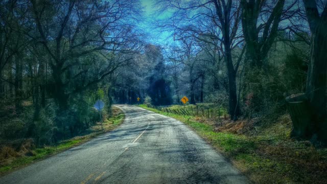 Follow Adventure