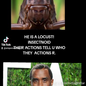 THE LOCUST U CANNOT KILL THE UNDEAD