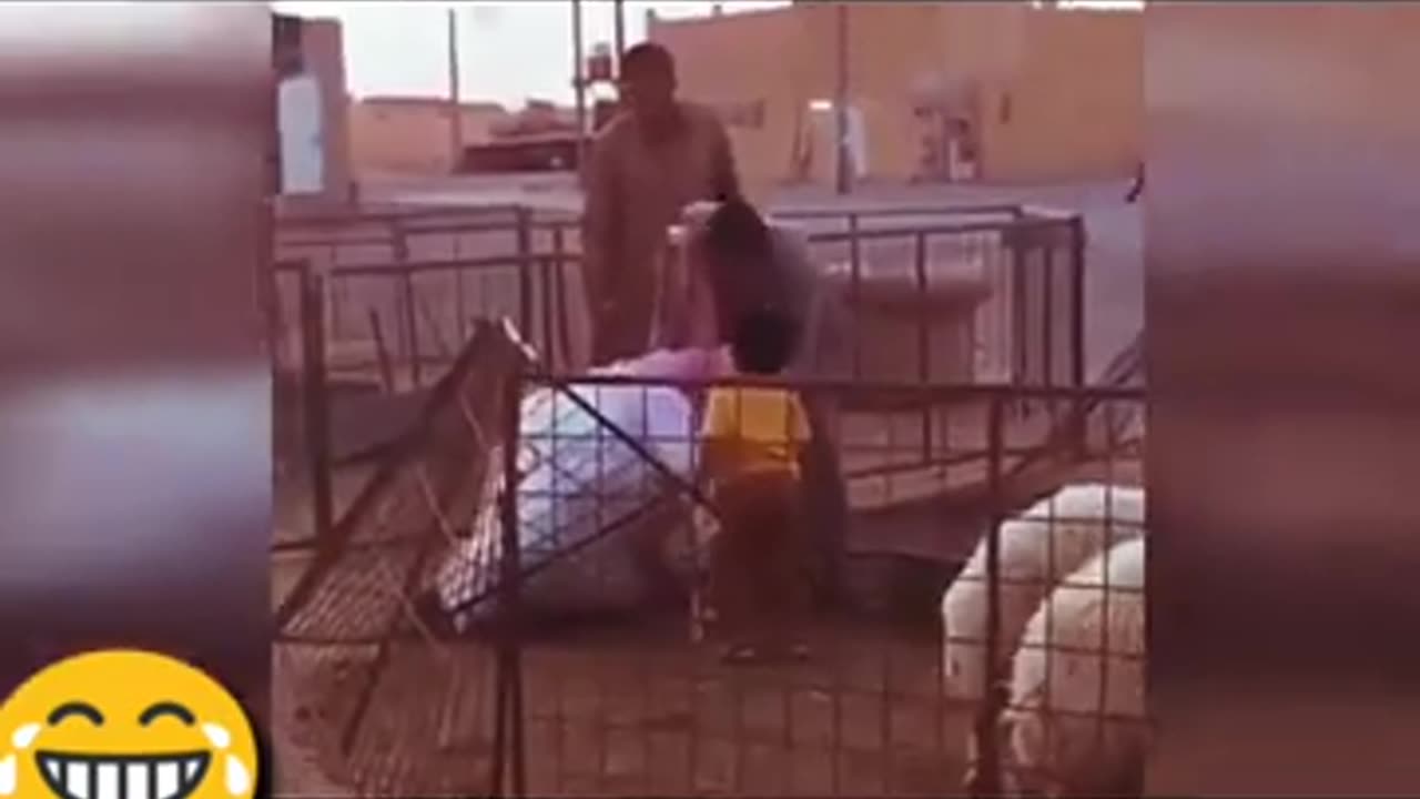 Funny arab videos