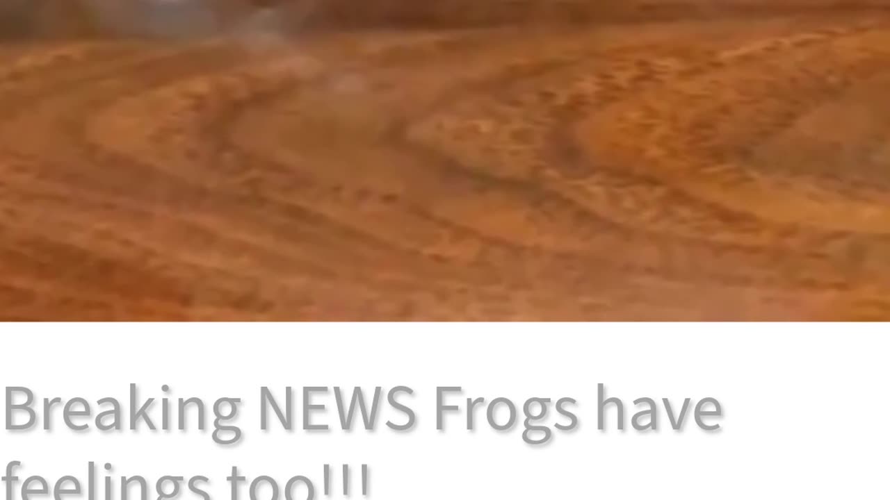 do frogs have feelings