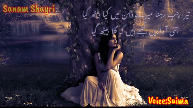 tera chup rehna mere zehen mey🌹Tehzeeb hafi poetry🌹Tehzeeb Hafi Shayari 🌹urdu shayari 🌹sad poetry