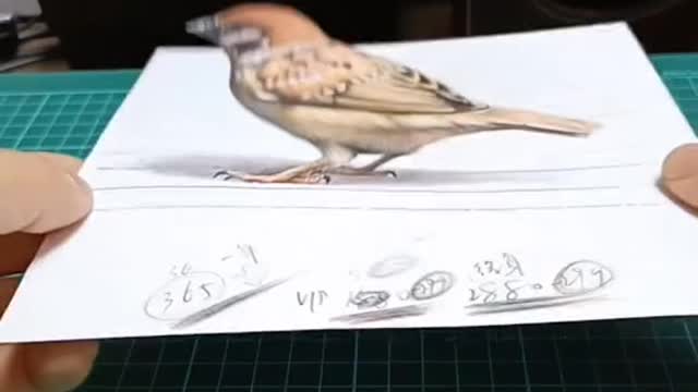 Draw Bird 3D Simplestrokes