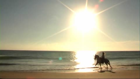 Woman on horse at seashore, riding through surf