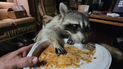 Rodney getting the last of my steak