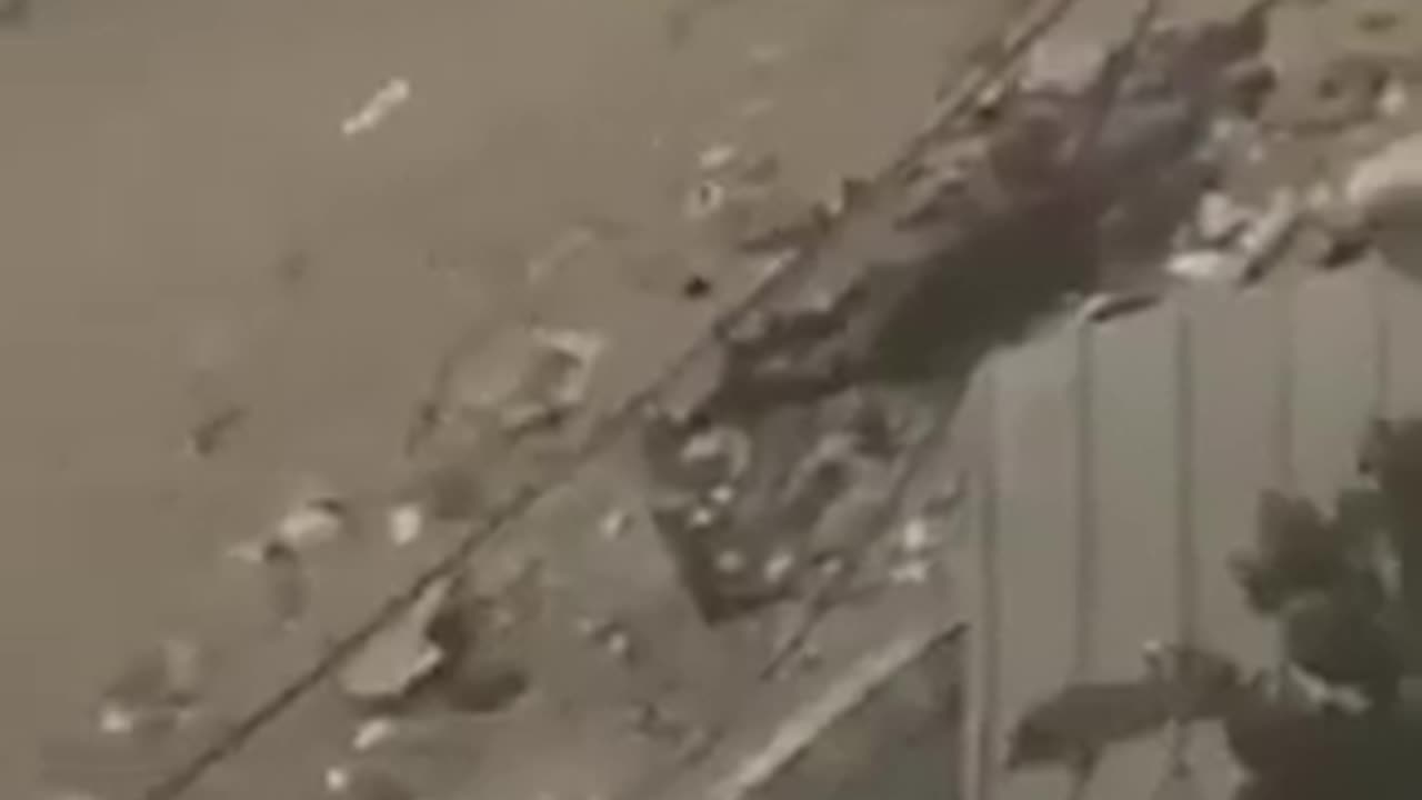 Israeli soldiers shoot and kill a Palestinian mother,