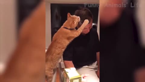 🤣 Funniest And Cutest 🐶 Dogs And Cats 😻 Funny Pet Animals' Life 😇