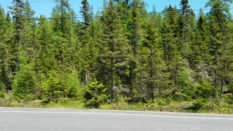 The "X-Files Highway", Rt-16, Maine (2019 JUN 09)
