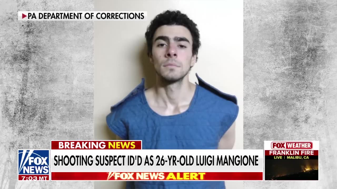 'Political revolutionary' Luigi Mangione praised unabomber's manifesto
