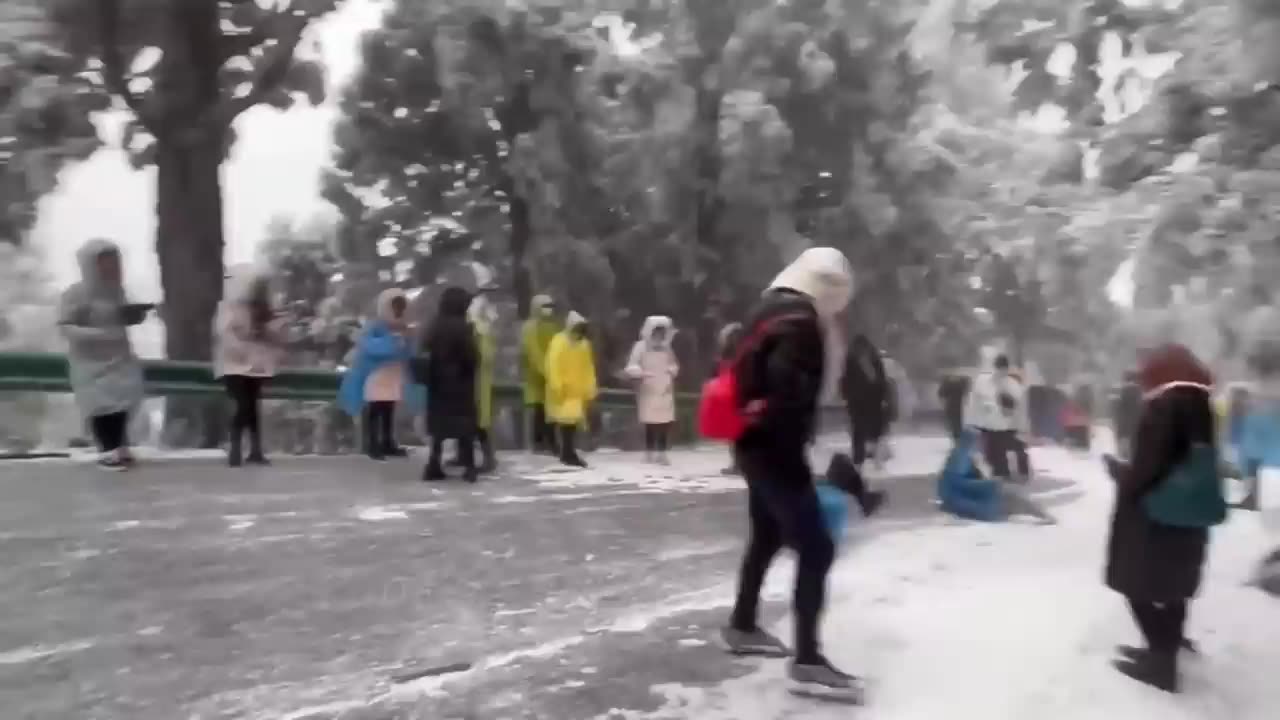 Funniest Fails Of The Year Compilation