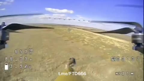 Mouse rides on FPV drone