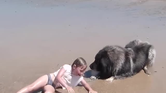 Dog 'Saves' His Little Girl From The Ocean | The Dodo