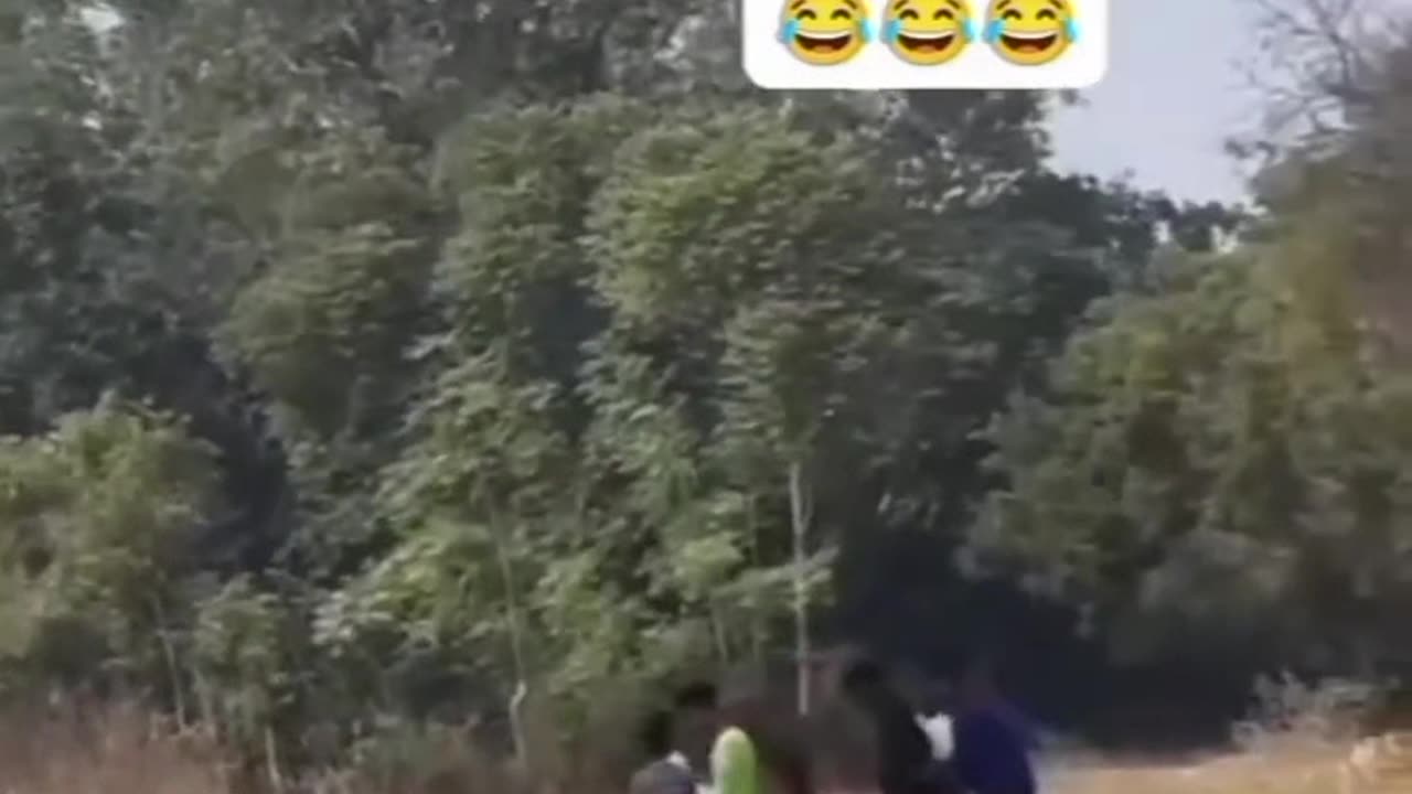 Funny animal 😁😁😁😁
