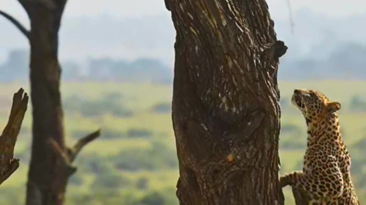 How are you hunting