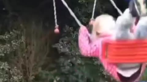 Funny video 😅😅📸