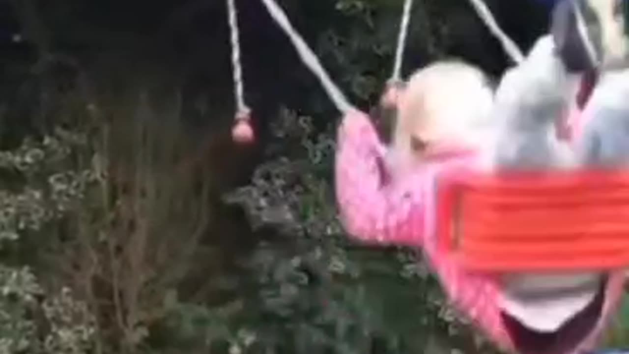 Funny video 😅😅📸