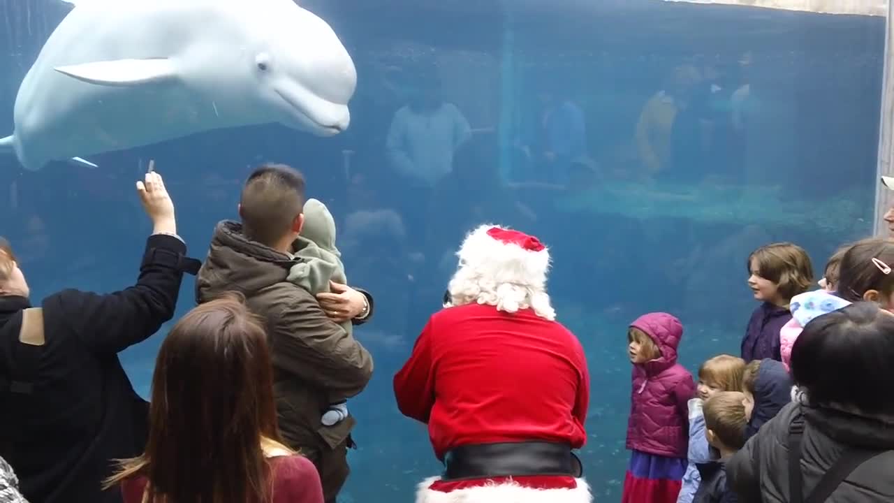 Juno the Whale and Santa with a Sax