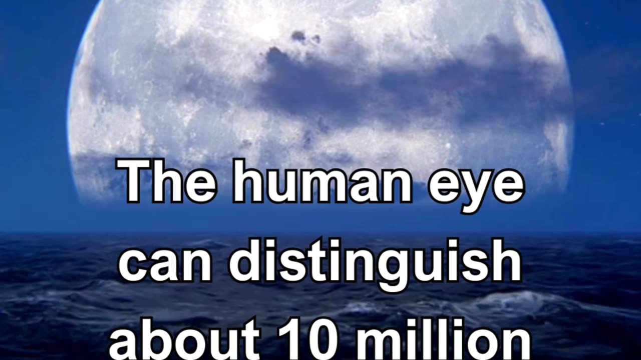 Fun Facts