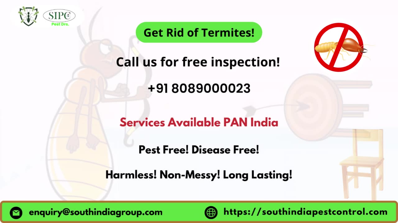 Termite Control Services In Hyderabad