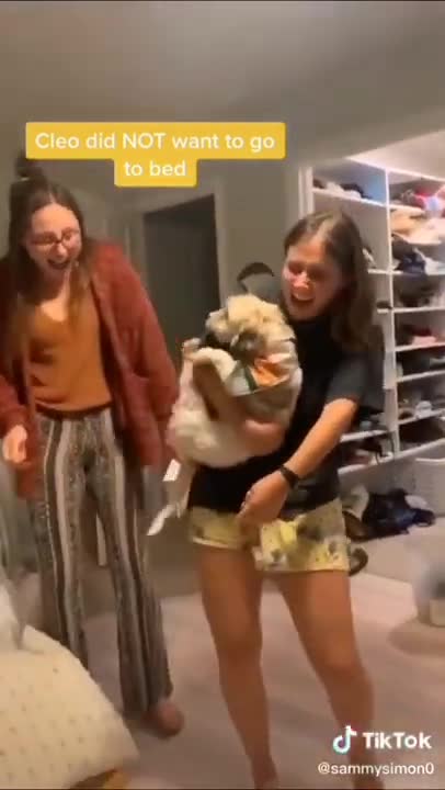 AWW Animals SOO Cute! Cute baby animals Videos Compilation Funniest and Cutest moment