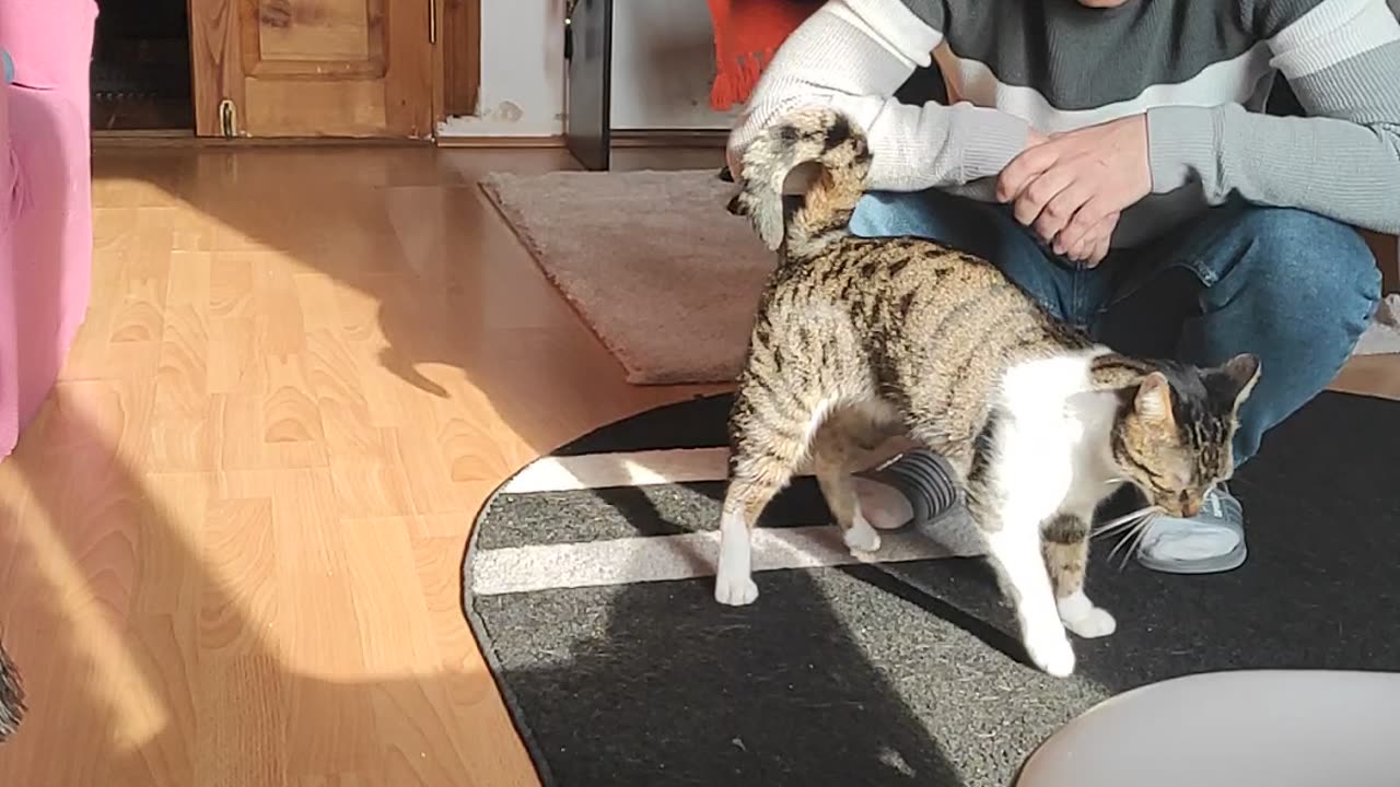 What can he do if he wants to eat?