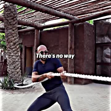 Andrew Tate fights a Tiger