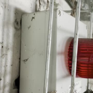 Freedom Cash Geocaching Paper Wallet -