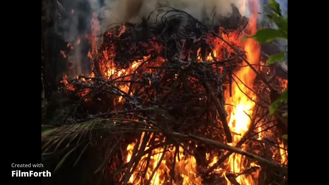 Relaxing sights and sound of fire