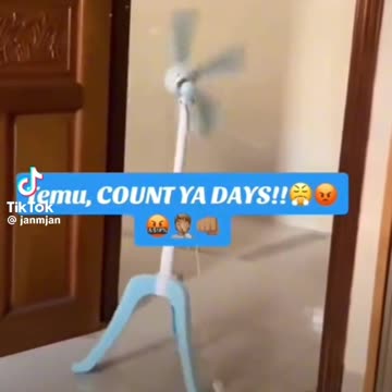 Temu, Count your days - reaction