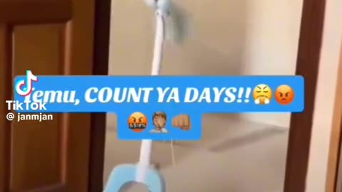 Temu, Count your days - reaction