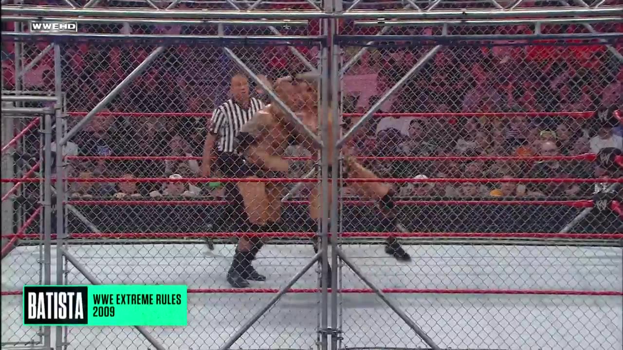 1 DAY WWE TITLE REIGNS:WWE PLAYLIST