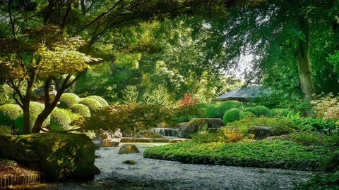 CONNECTION | RELAXATION.