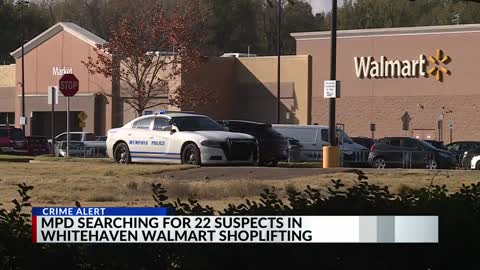 Over 20 shoplifters still on run after storming local Walmart