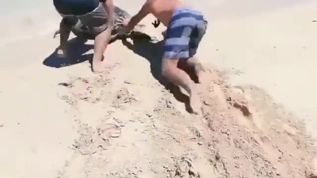 Helpless turtle gets rescued ❤️🙌🏼