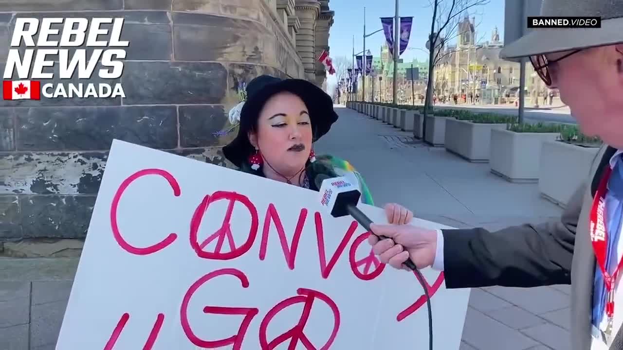 NO MORE COMMENTS! Watch Leftist Suffer From Brain Chip Malfunction