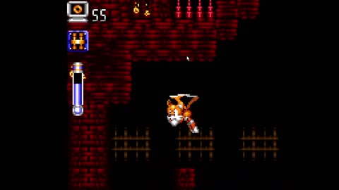 Tails Adventure day 2