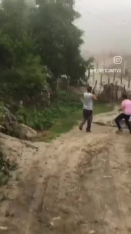 Deer caught in the headlights 😱😱😱