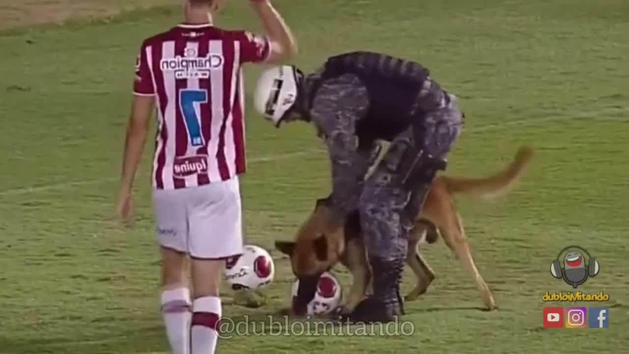 DOG INVADES THE FIELD IN PROTEST AGAINST TIME KKK