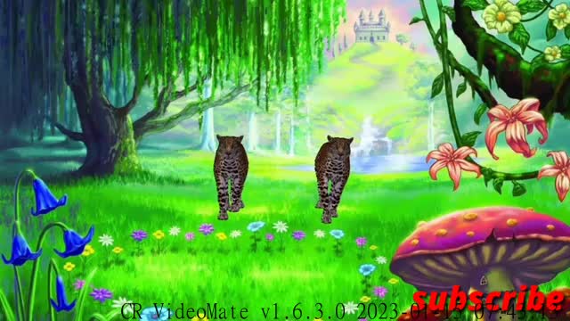 Two Tiger And lion 2 टाइगर और शेर Cartoon Video