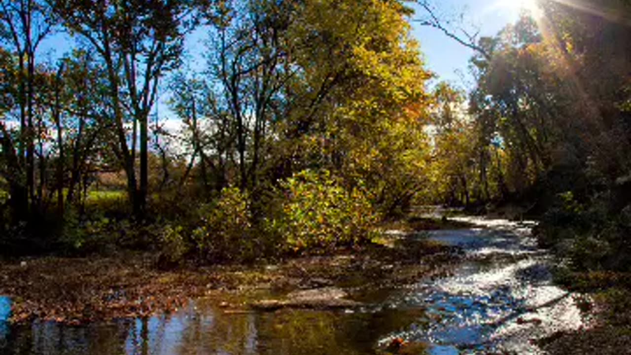 Cedar creek